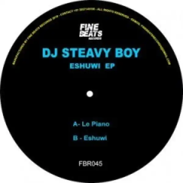 DJ Steavy Boy - Le Piano (Original Mix)
